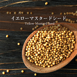 イエロー マスタード シード - Yellow Mustard Seed【500gパック
