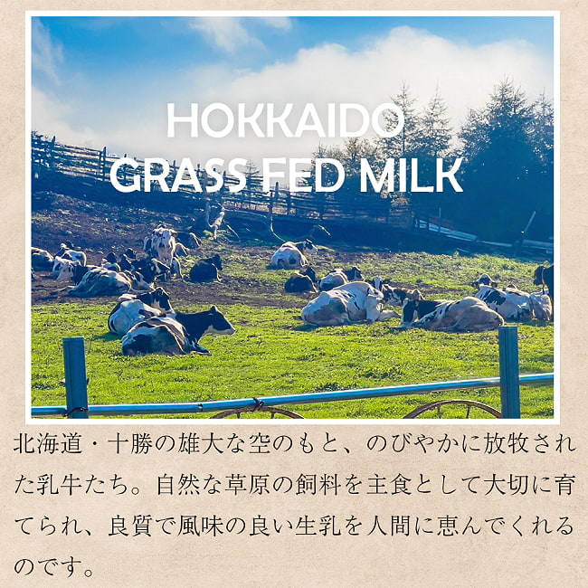 インドの濃厚な牛乳を再現 Hokkaido Milk Powder 225g 国産全粉乳  グラスフェッド 6 - 自然豊かな北海道で放牧酪農された乳牛の良質なミルクが使われています。