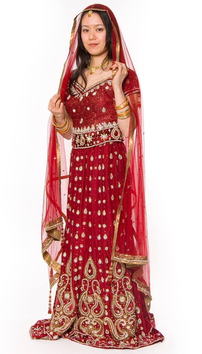 ドレス インド インドのドレス チャニヤ・チョウリ サリー レディース 女性物 エスニック衣料 国内外の人気 Jp