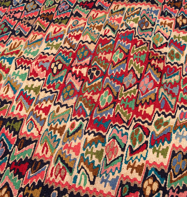 【一点物】バルーチ　カル・ムハマディ族　遊牧民による草木染め手織りトライバルキリム スリット織り - 約98cm x 80cm 11 - 柄をアップにしました