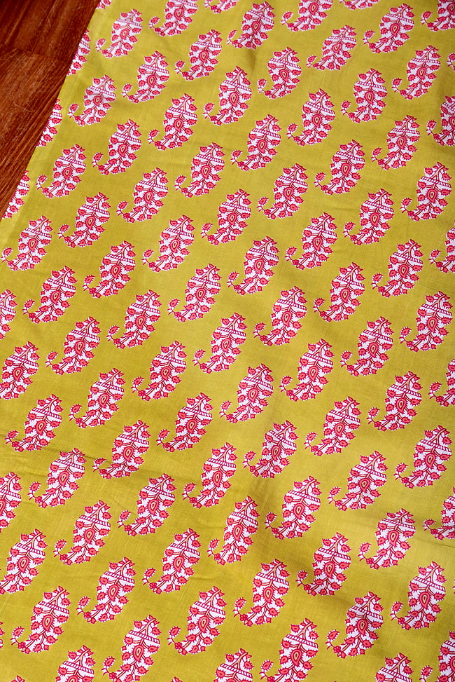 〔1m切り売り〕南インドの民族模様　昔ながらのペイズリー布　黄緑系〔幅約109cm〕 3 - とても良い雰囲気