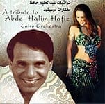 A Tribute To Abdel Halim Hafiz - Cairo Orchestraの商品写真